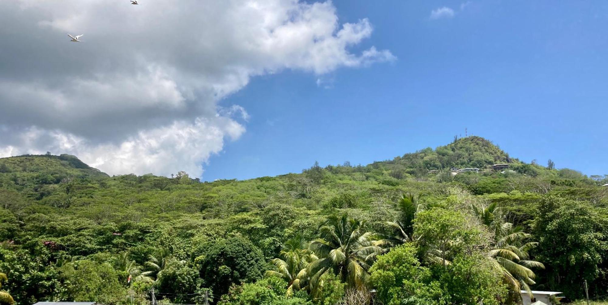 La Villa Therese Anse Royale Exterior foto